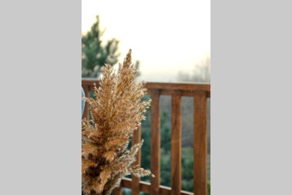 View Apartments Belasica Mokrijevo ภายนอก รูปภาพ
